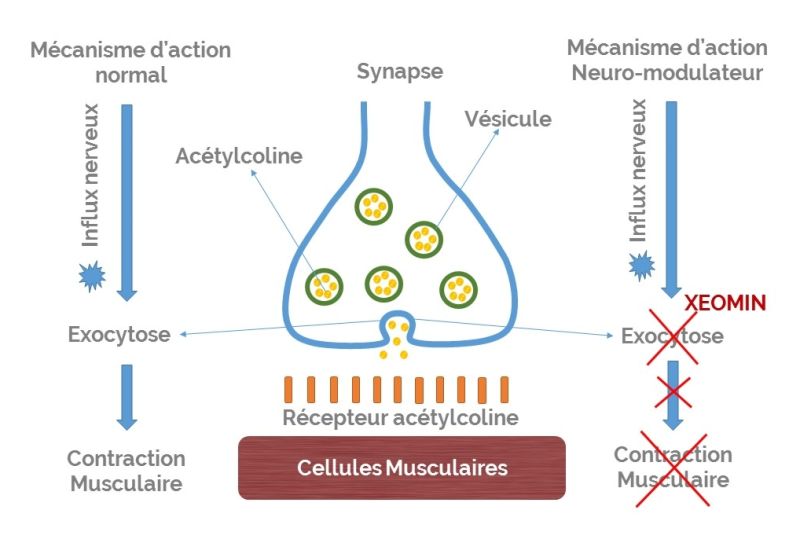 OM Signature - Mécanisme botox -  Clinique Esthétique Médicale Rive-Sud